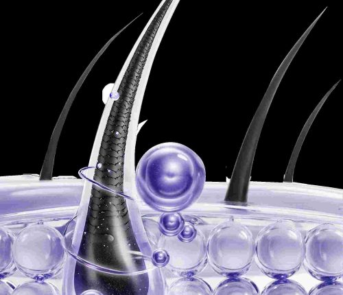 微信图片_20260122094535